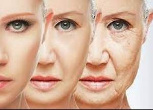 Ученые назвали три этапа старения организма
