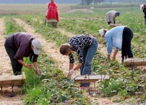 Как заробитчане смогут выехать в Европу: Кабмин назвал условие