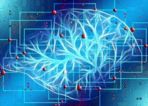 Ученые обнаружили пищевой патоген, провоцирующий развитие рака