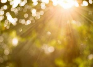 Прогноз погоды на 13 августа: почти по всей Украине будет солнечная погода