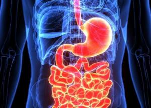 Врачи назвали продукты для поддержания здоровья кишечника