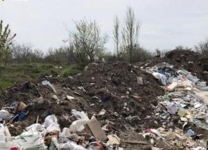 В Украине опасные отходы вывозили на свалки вместо утилизации (фото)