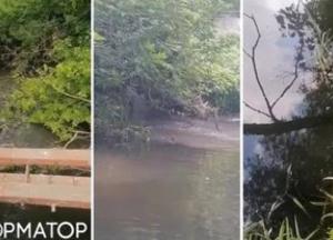 Київське море забруднюється стічними водами з боку Бучі: загроза питній воді столиці