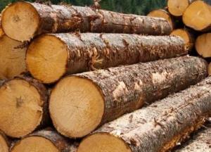 Гослесагентство разработало законопроект об ответственности за оборот незаконно заготовленной древесины