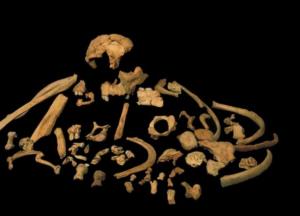 Ученые получили древнейший генетический материал предков человека