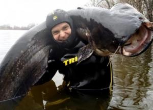 Рыбак из Днепра поймал сома весом 50 килограммов (фото)