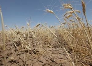 Гидрометцентр показал масштабы засухи в Украине