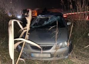 В Одессе пьяный водитель сбил троих мужчин (фото)