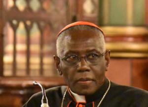 Ватиканский кардинал раскритиковал меры по борьбе с COVID-19