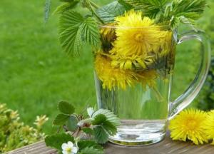 Медики рассказали о лечебных свойствах одуванчиков