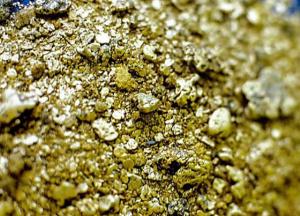 В Индии нашли гигантский золотой рудник