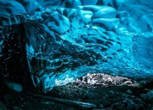 Ученые обнаружили во льдах Антарктиды гигантских морских пауков