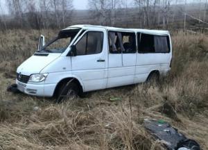На Житомирщине перевернулся микроавтобус, пострадали восемь человек (фото)