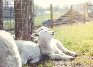 Прогноз погоды на 28 апреля: солнечно, но заморозки не отступают