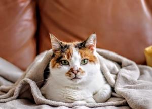 Прогноз погоды на 25 ноября: зимние морозы ненадолго отступают