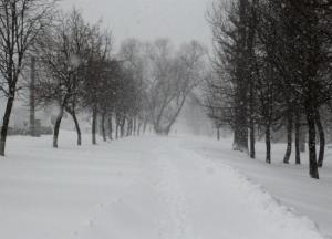 Прогноз погоды на 9 февраля: штормовой ветер и метели, на юг придет тепло