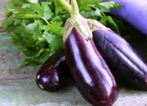 Баклажаны: чем они полезны для здоровья