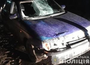 В Черкасской области пьяный водитель насмерть сбил ребенка