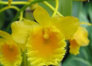 Найдено средство против одного из самых распространенных видов рака