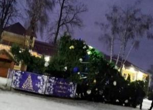 В Хмельницкой области упала главная городская елка (фото)