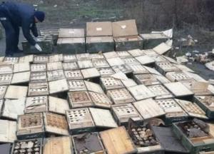 В Мариуполе нашли огромный тайник оружия и боеприпасов (фото)