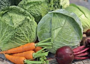 Медики назвали самые полезные простые продукты для сердца