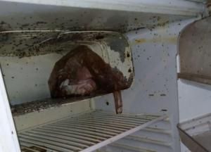 Опасно для жизни: в сети показали жуткие условия в общежитиях Харькова (фото)