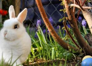 На пасхальные праздники в Украине будут грозовые тучи, дождь, ветер и немного солнца