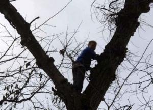 Под Днепром пришлось спасать мальчика, который залез на дерево собирать грибы