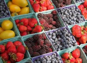 Врач рассказала, чем грозит чрезмерное употребление ягод и фруктов