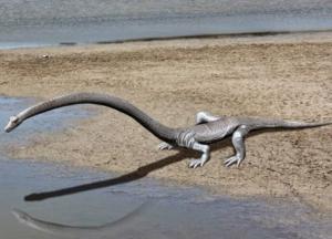 Ученые раскрыли загадку доисторического чудовища с очень длинной шеей