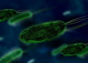 Онкологи назвали вирусы, которые могут спровоцировать рак