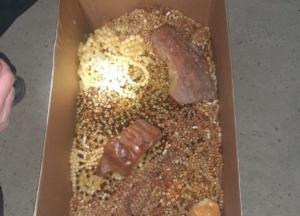 На Закарпатье пограничники обнаружили в автомобиле 15 кг янтаря