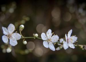 Прогноз погоды на 18 февраля: будет по-весеннему тепло