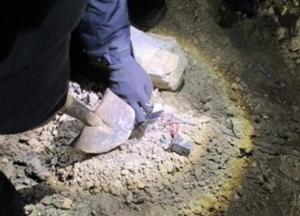 В Одессе под колесами грузовика сработала взрывчатка