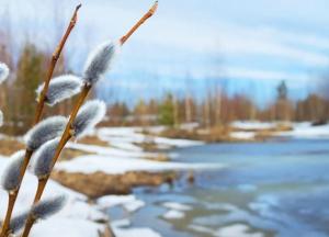 Прогноз погоды на 20 февраля: в Украину идет и потепление
