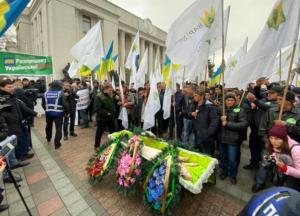 Мертвую свинью, которую принесли под Раду, похоронят в центре Киева (фото)
