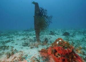 В Тихом океане найдены три самолета США времен Второй мировой войны