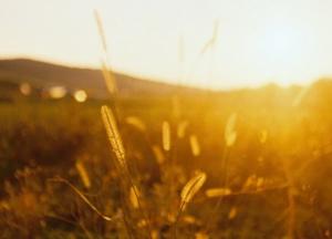 Прогноз погоды на 23 октября: в Украину возвращается тепло