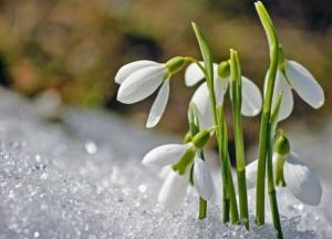 Прогноз погоды на 6 марта: в Украине – почти без осадков, но прохладно