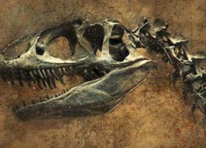 Ученые обнаружили останки нового для науки вида динозавра
