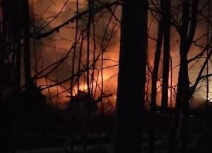 В России разбился самолет Ан-12 (фото, видео)