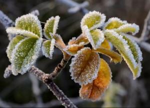 Первый снег выпал в Карпатах