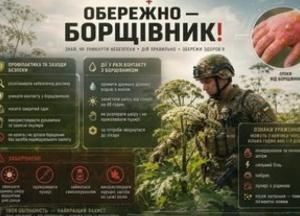 Борщівник: як уникнути серйозних опіків під час виконання завдань