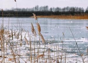 В Харьковской области дети провалились под лед, двое погибли