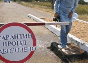 В Украине планируют до 2030 года ликвидировать заболеваемость бешенством
