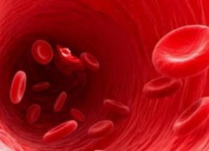 Названы самые действенные продукты для очищения крови