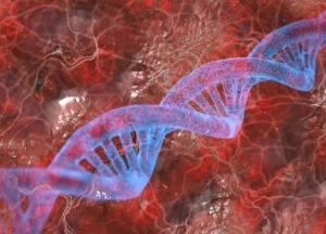 Человеческий геном полностью расшифровали
