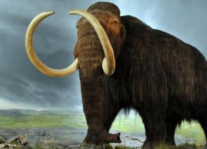 Ученые рассказали почему исчезли мамонты
