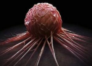 Создан препарат, блокирующий рост раковых опухолей